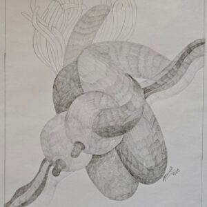 Manish Barodia
