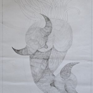 Manish Barodia